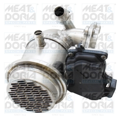 EGR Module